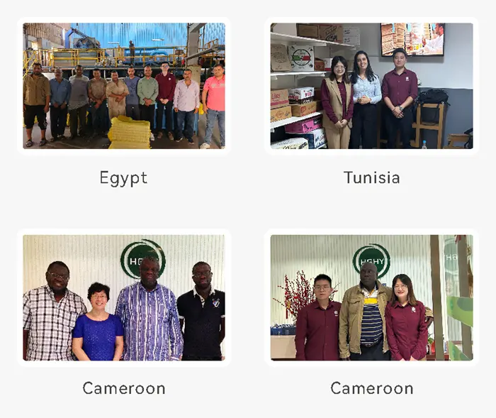 首页插图29 九游平台-非洲客户-04