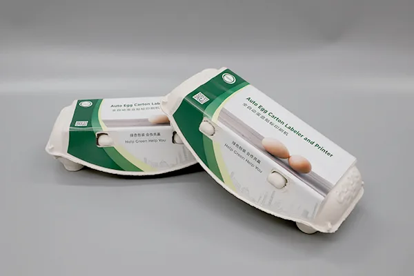 对辊式蛋托生产线插图11 Egg-Cartons-01.webp