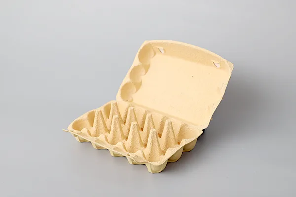 对辊式蛋托生产线插图7 Egg-Cartons-05.webp