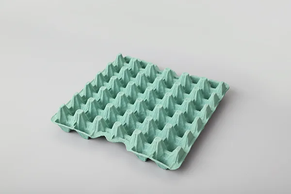 对辊式蛋托生产线插图2 Egg-Tary-05.webp