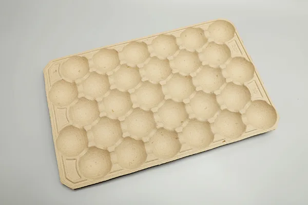 转鼓式蛋托生产线插图8 Fruit-Tray-01.webp