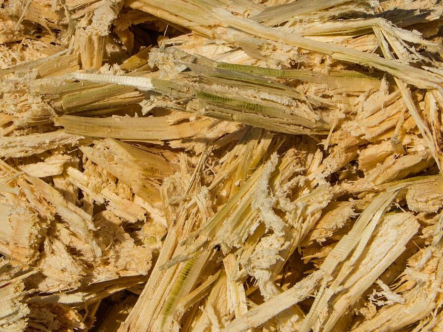 常见的九游(中国)一站式服务官方网站原料特点分析插图1 常见的九游(中国)一站式服务官方网站原料特点分析插图1