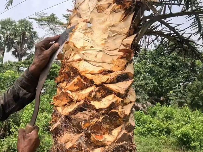 常见的九游(中国)一站式服务官方网站原料特点分析插图5 常见的九游(中国)一站式服务官方网站原料特点分析插图5