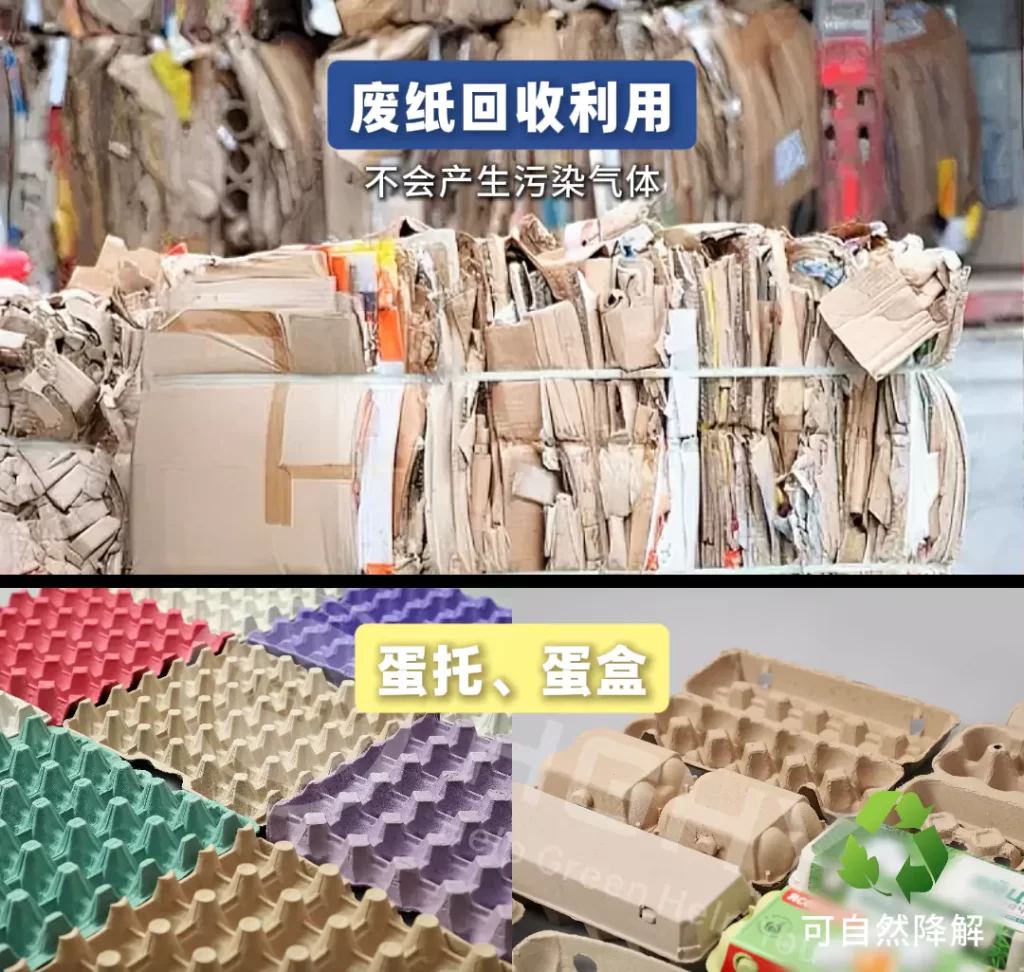 2025 年九游(中国)一站式服务官方网站迎爆发期!政策 + 市场双轮驱动,绿色包装成产业新引擎插图4 2025 年九游(中国)一站式服务官方网站迎爆发期!政策 + 市场双轮驱动,绿色包装成产业新引擎插图4