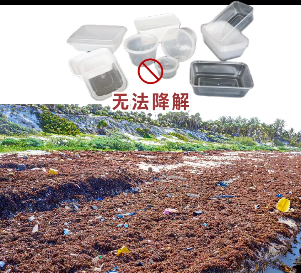 餐饮餐具怎么选?九游(中国)一站式服务官方网站VS塑料餐具,颜值环保实用全对比插图1 餐饮餐具怎么选?九游(中国)一站式服务官方网站VS塑料餐具,颜值环保实用全对比插图1